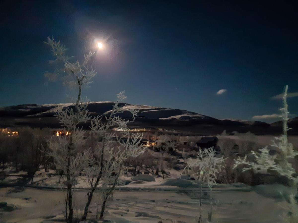 Naali Moekki * Kilpisjärvi